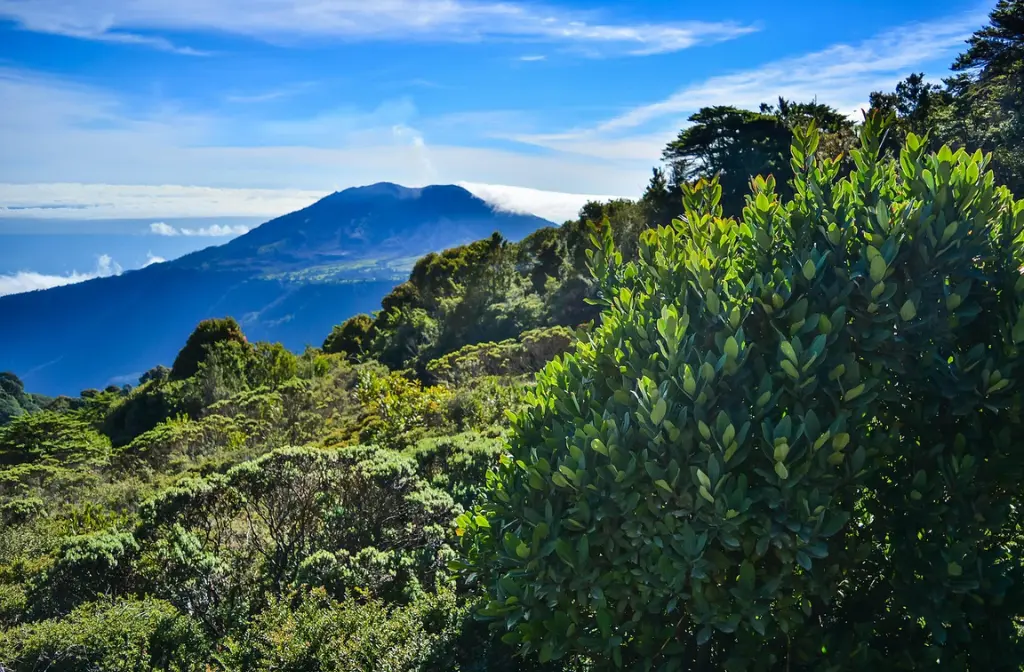costa rica backpackers