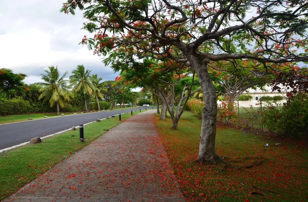flights to fiji