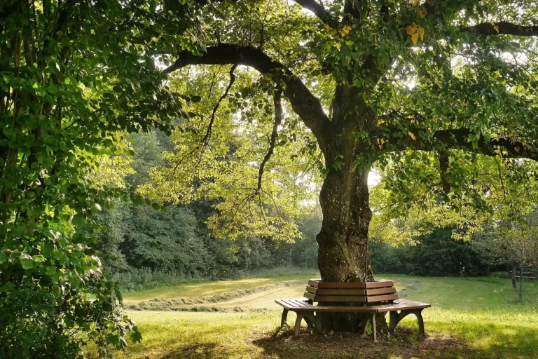 Green Places