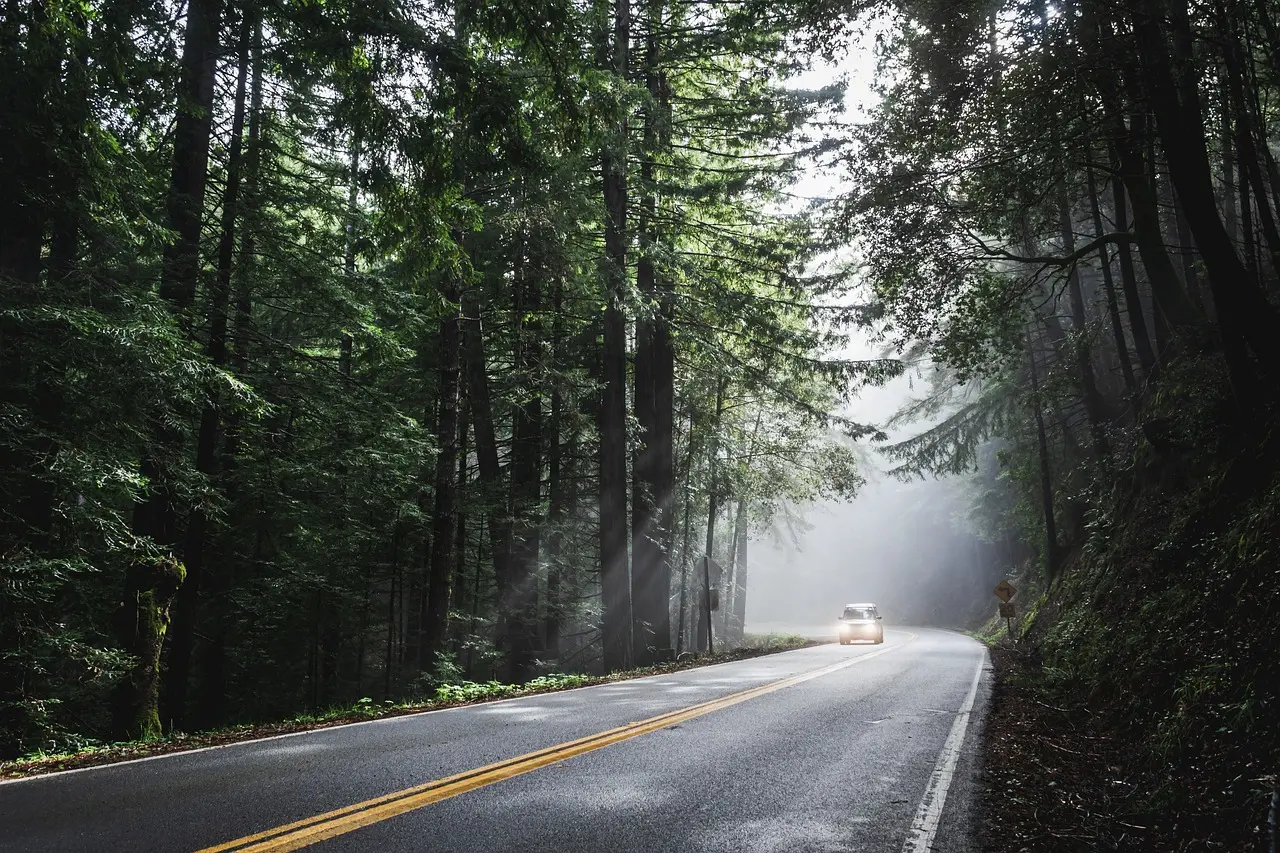 Road Trips USA
