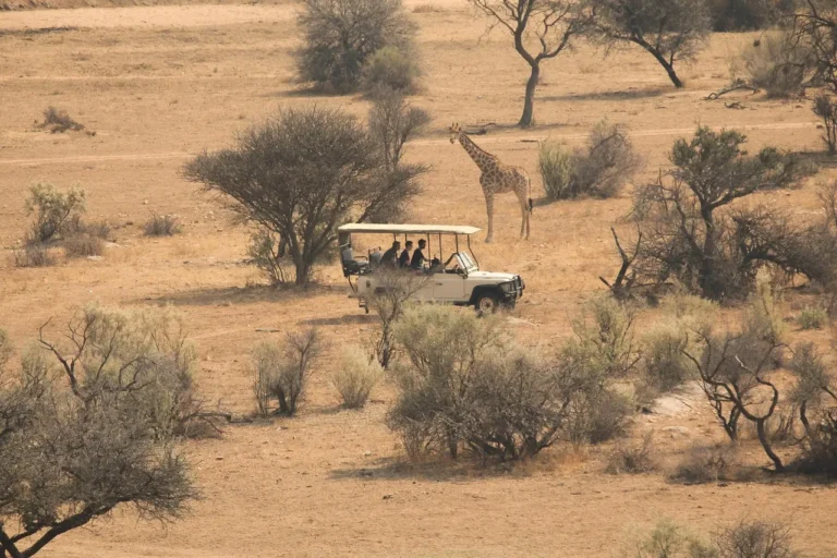 safari trips in africa